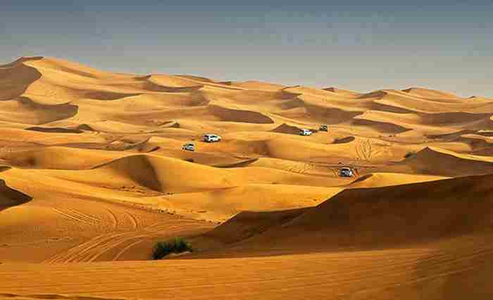سافاری در صحرا