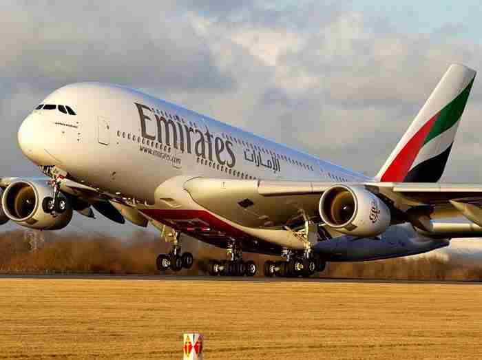 مار کبری پرواز خطوط هوایی امارات را مختل کرد