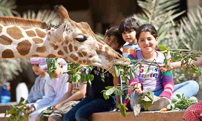 پارک باغ وحش و استراحتگاه امارات