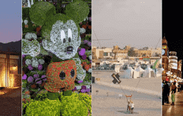 12 تجربه جدید و جالب در دبی