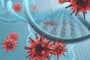 این ویروس مهندسی ژنتیک شده تبخال میتواند سلول های سرطانی را بکشد