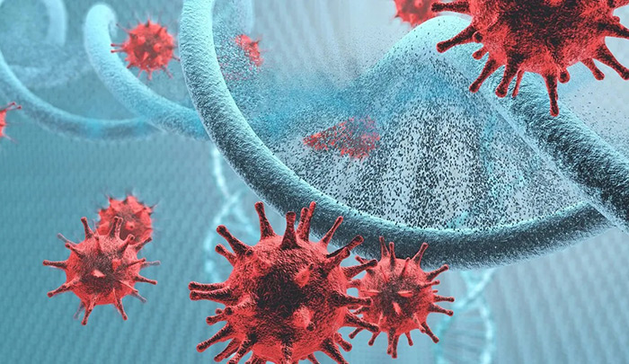 این ویروس مهندسی ژنتیک شده تبخال میتواند سلول های سرطانی را بکشد