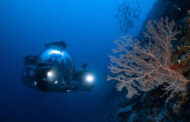 کشف یک اکوسیستم جدید در اعماق اقیانوس
